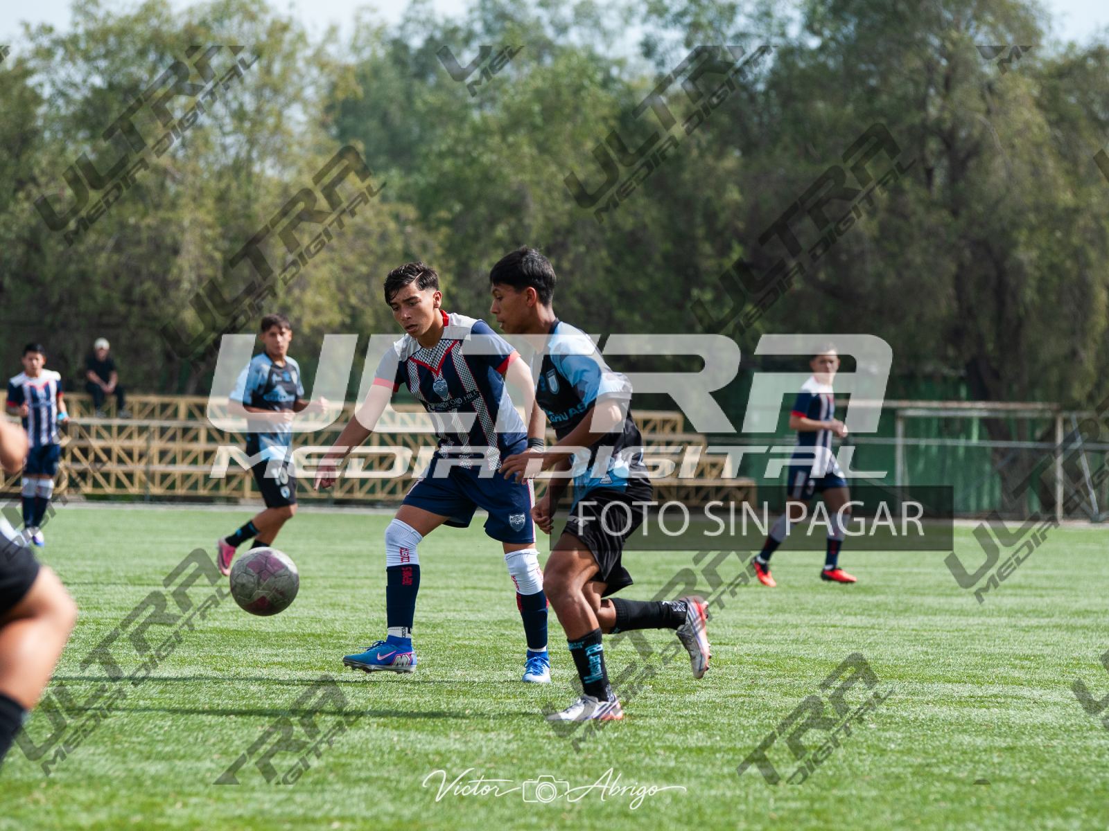 TOKO_ABRIGO-18
