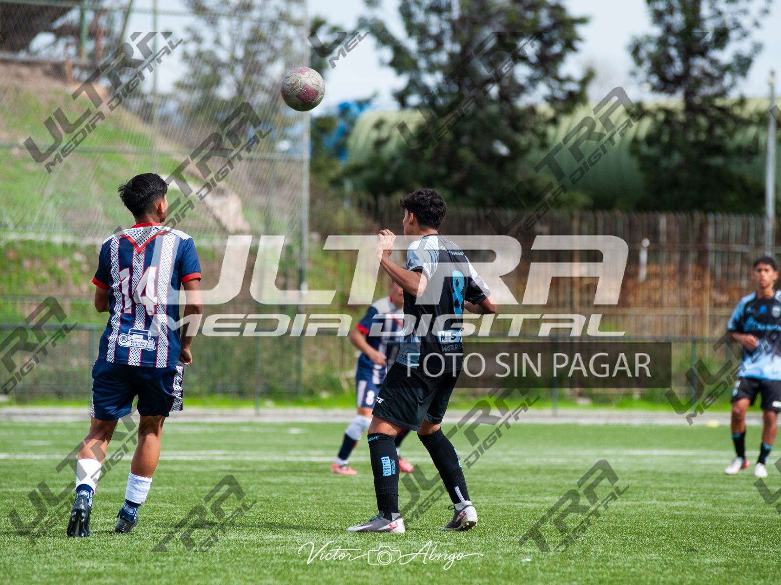 TOKO_ABRIGO-152