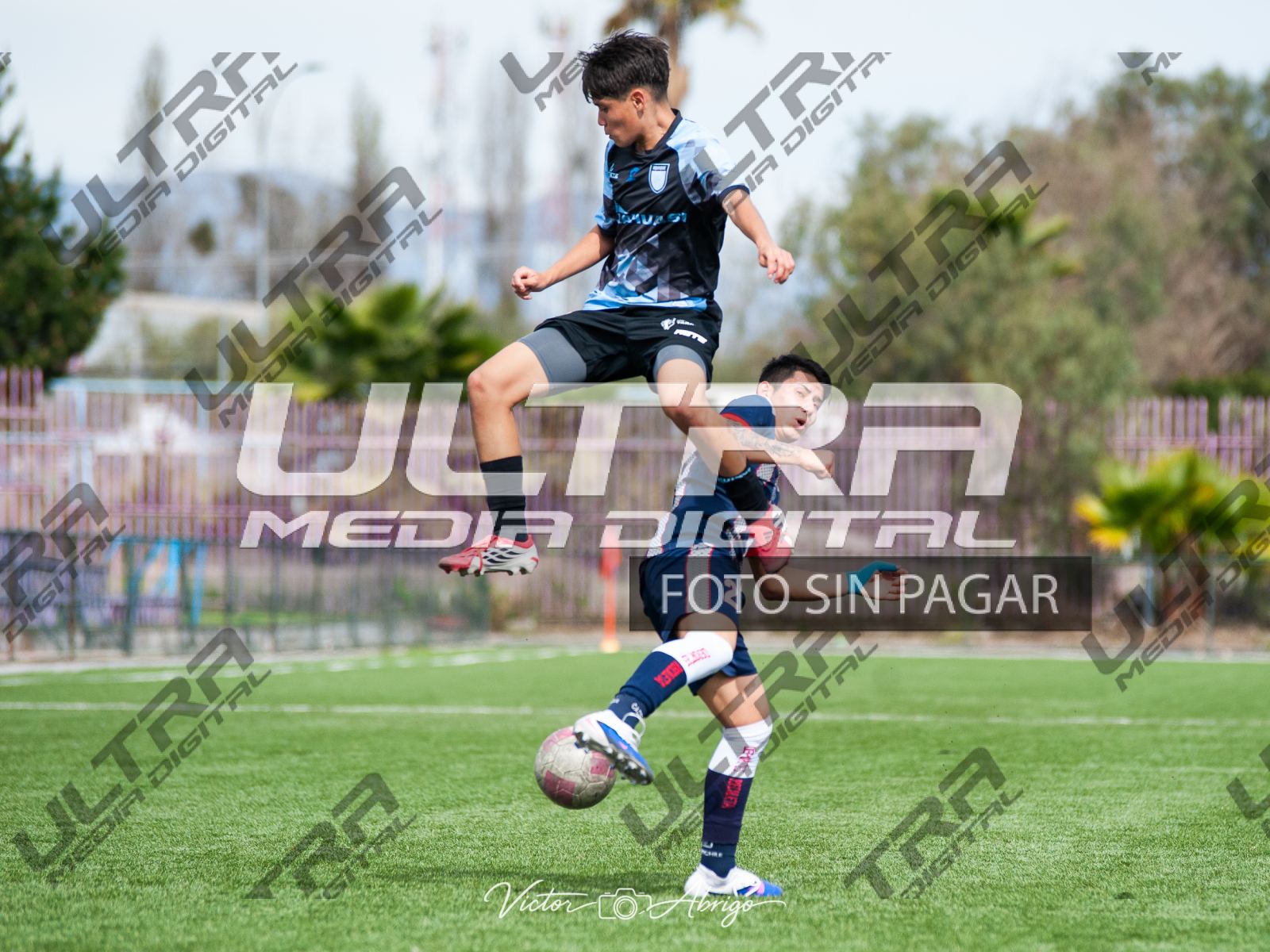 TOKO_ABRIGO-220